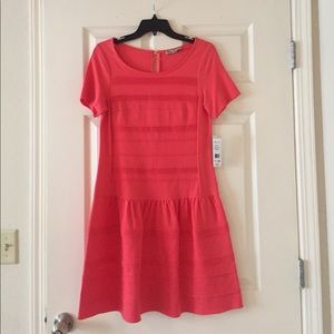 Fitted Drop Waist Dress