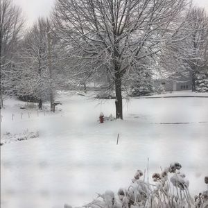 Meet your Posher, Dolma