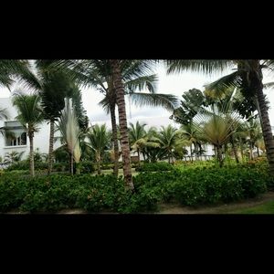 Meet your Posher, Lee