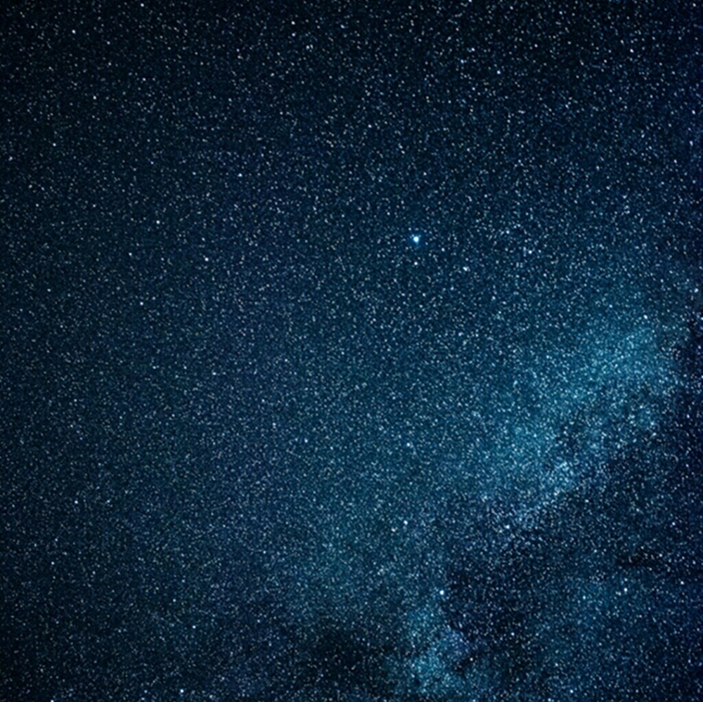 Meet your Posher, Claire