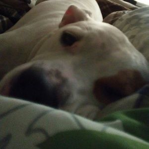 Meet your Posher, Jenny