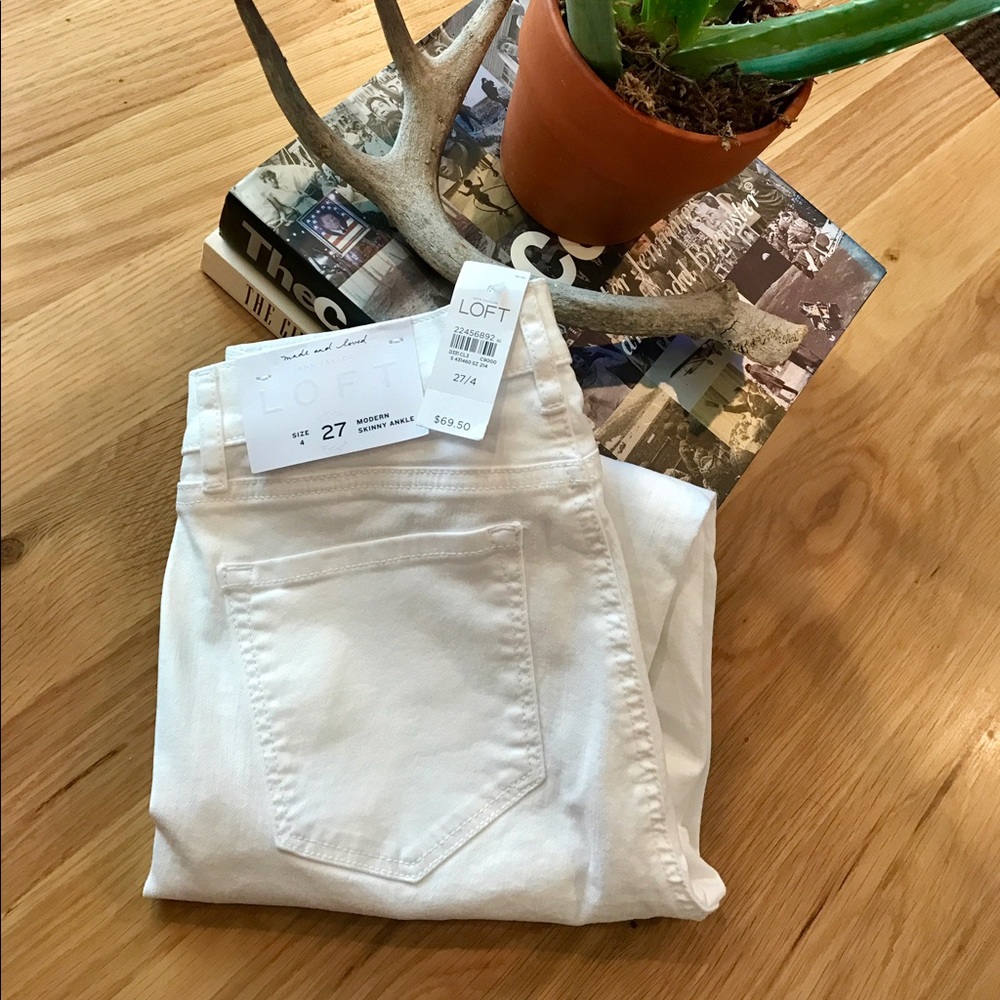NWT✨🙋🏻 Anne Taylor LOFT