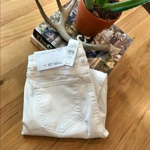 NWT✨🙋🏻 Anne Taylor LOFT