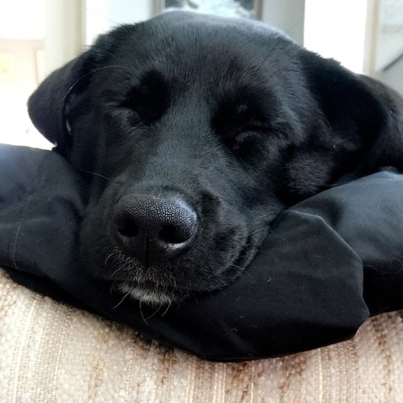 Meet your posher, Hannah - Picture 4 of 5