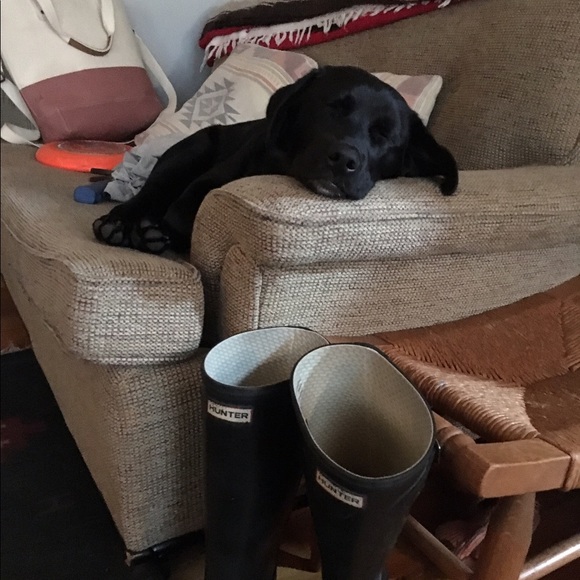 Meet your posher, Hannah - Picture 5 of 5