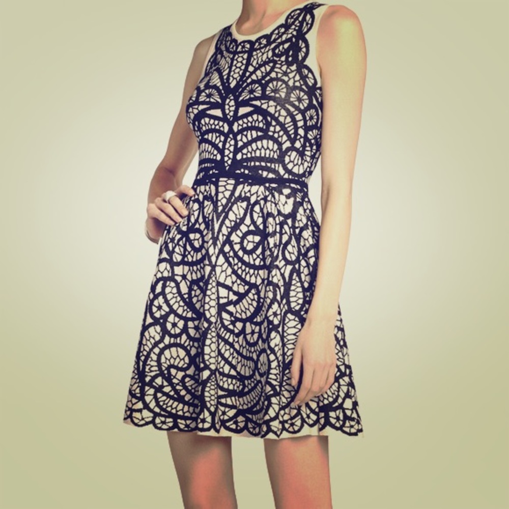 Bcbg talulah jacquard dress