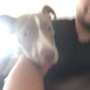 Meet your Posher, Markcus