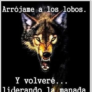 Meet your Posher, Cesar