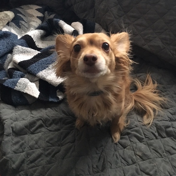 Meet your Posher, Amy - Picture 7 of 7