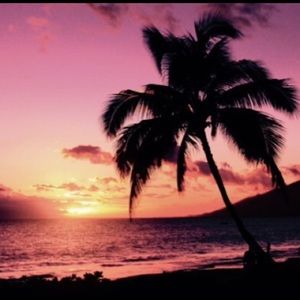 Meet your Posher, Janessa