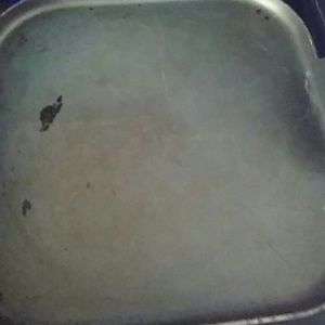 Meet your Posher, Miriam