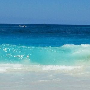 Meet your Posher, Jody