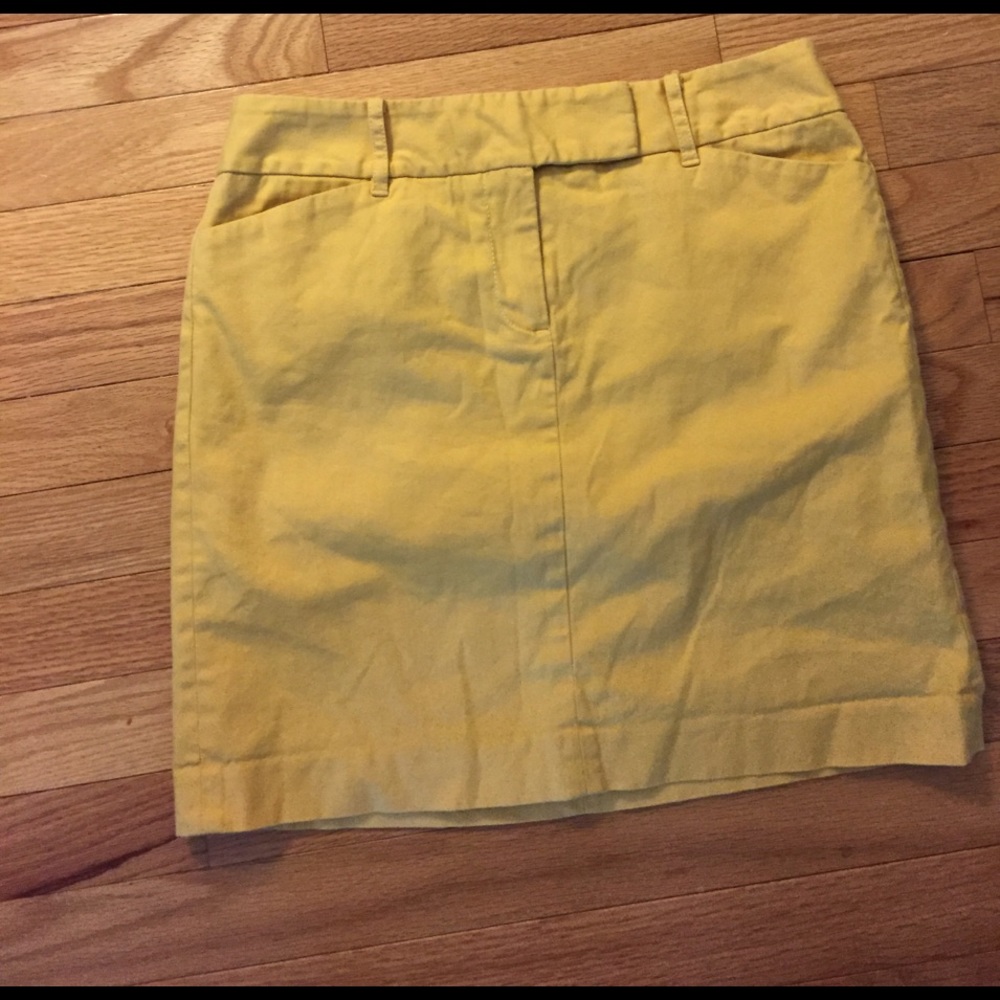 LOFT skirt