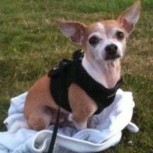 Meet your Posher, Katie