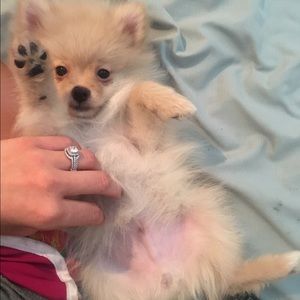 Closet Reopened For Business 👀🤗