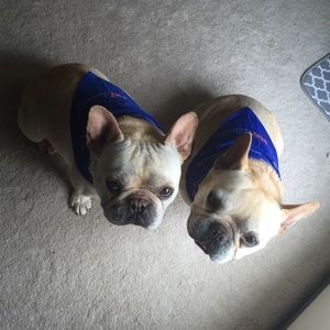 Meet your Posher, Ari