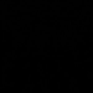 Meet your Posher, Ben