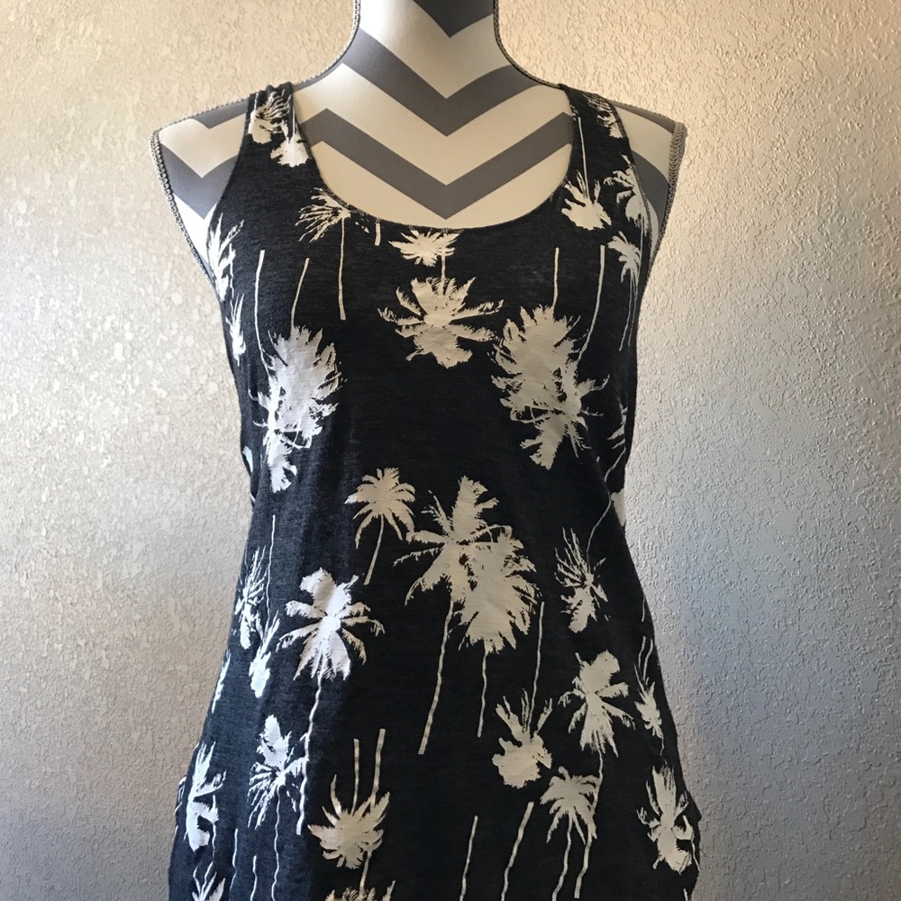Palm tree top