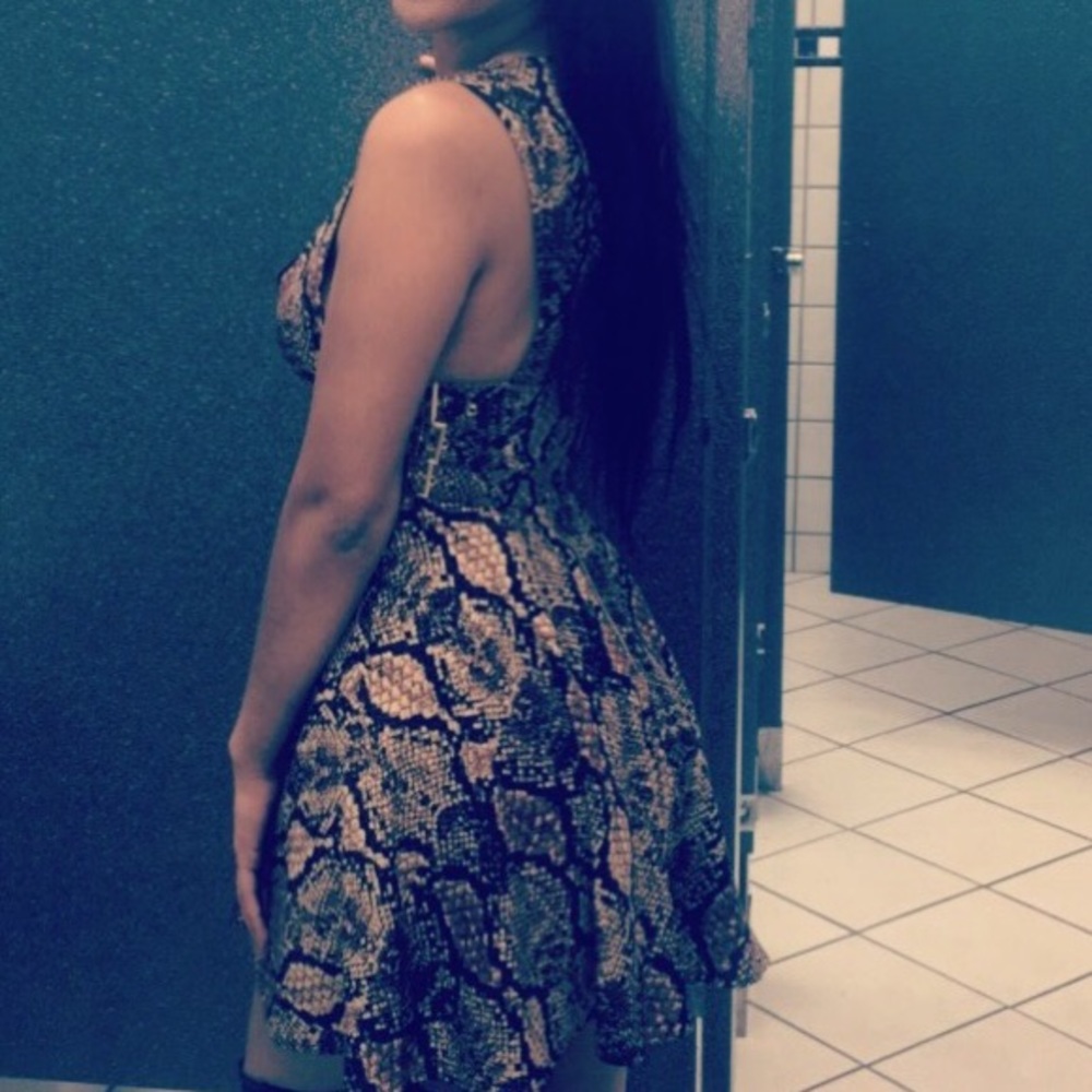 Snake skin Bebe dress