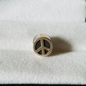 Pandora charm