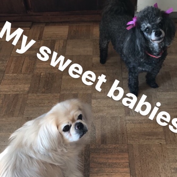 Jasmine Smith 💋🌸 - Picture 8 of 8