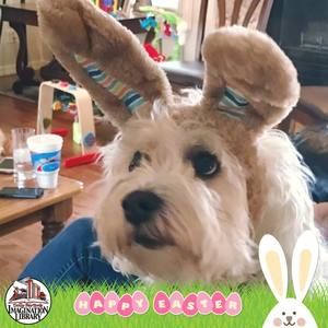 Meet your Posher, Julie