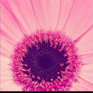 Meet your Posher, Franchesca