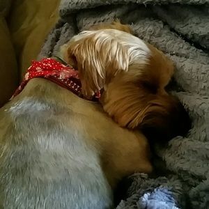 Meet your Posher, Paige