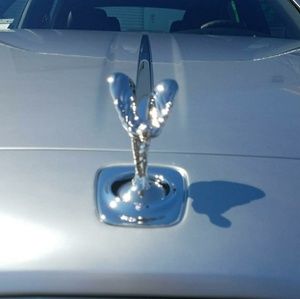 Meet your Posher, Rich