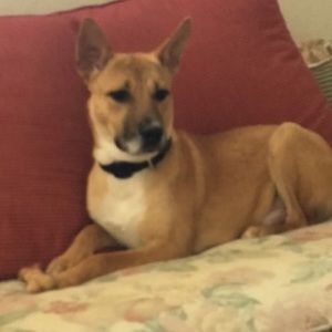 Meet your Posher, Macy