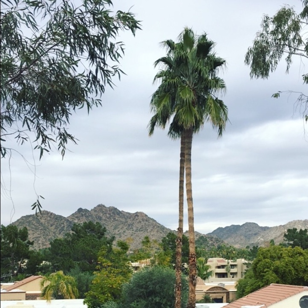 Meet your Posher, Alexis