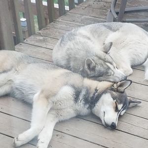 Meet your Posher, Pam