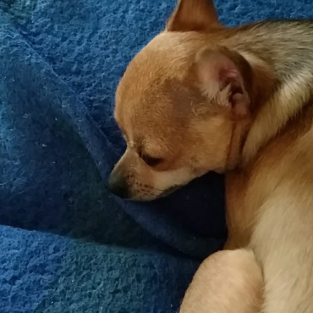 Meet your Posher, Kristina