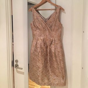 NWT Ralph Lauren V Neck Dress