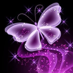 Meet your Posher, Connie