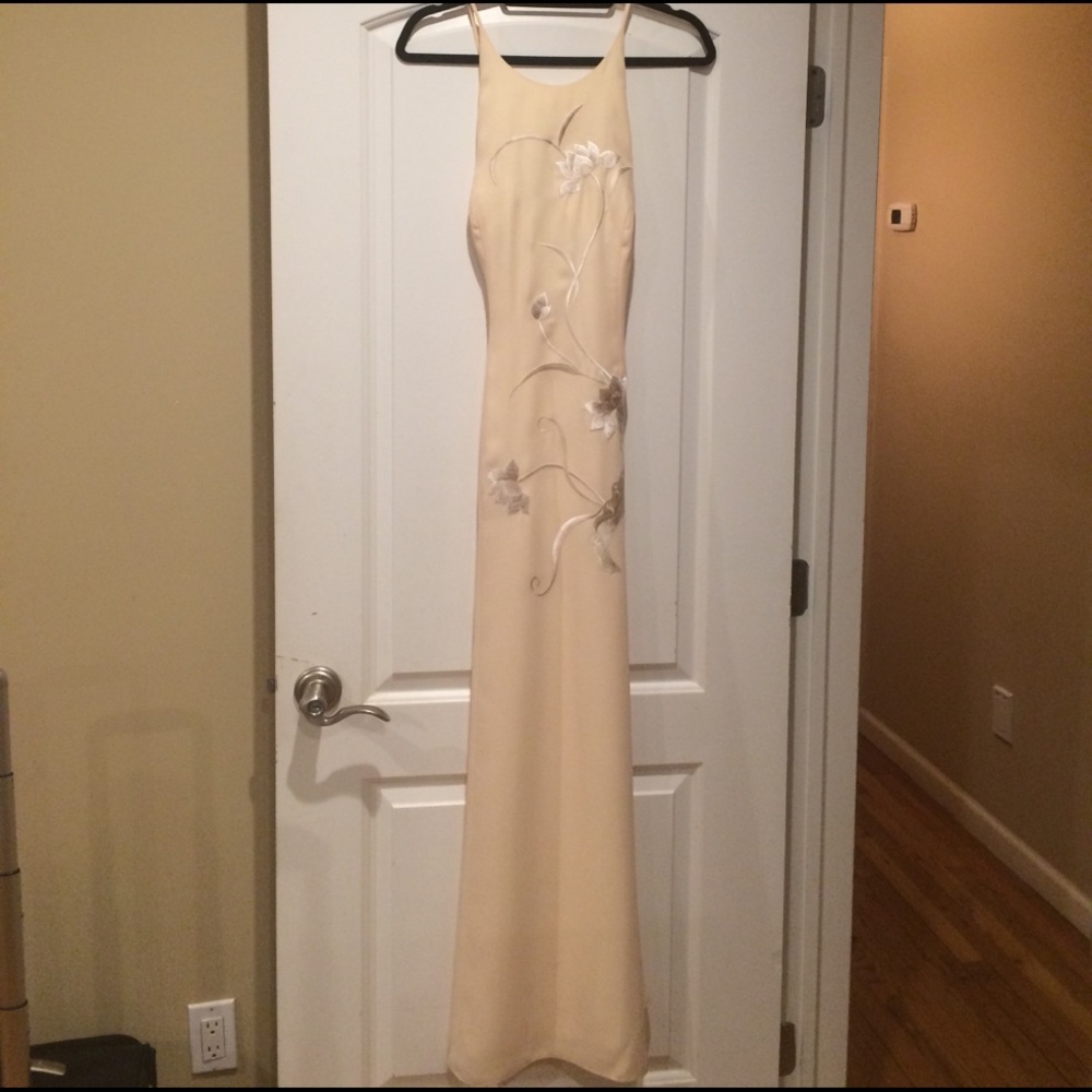 Fancy long dress