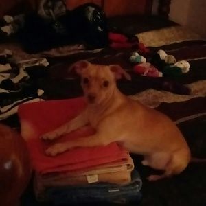 Meet your Posher, Angela