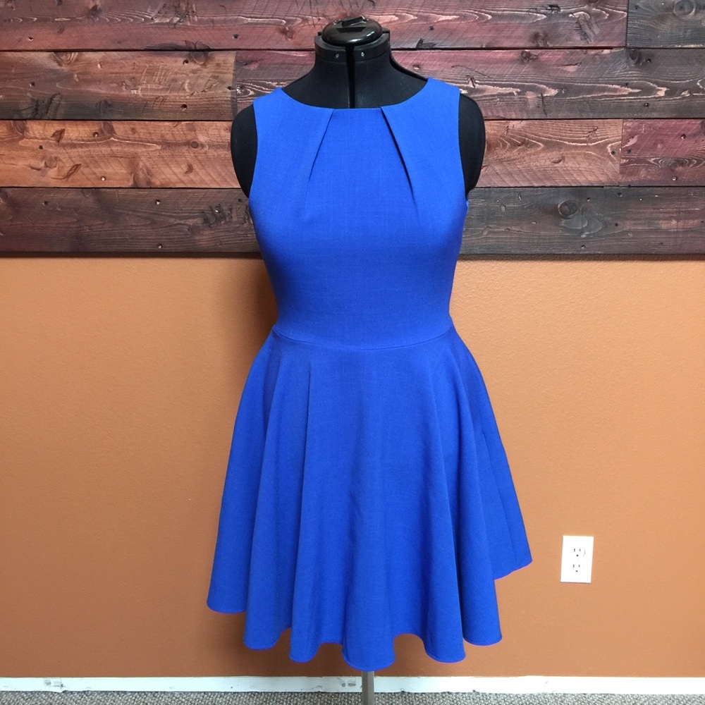 Francesca's boutique fit and flare dress