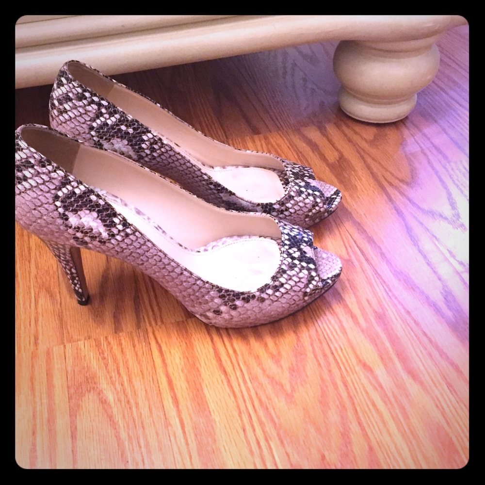 Prada  python heels in black