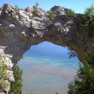 Meet your Posher, Shelly