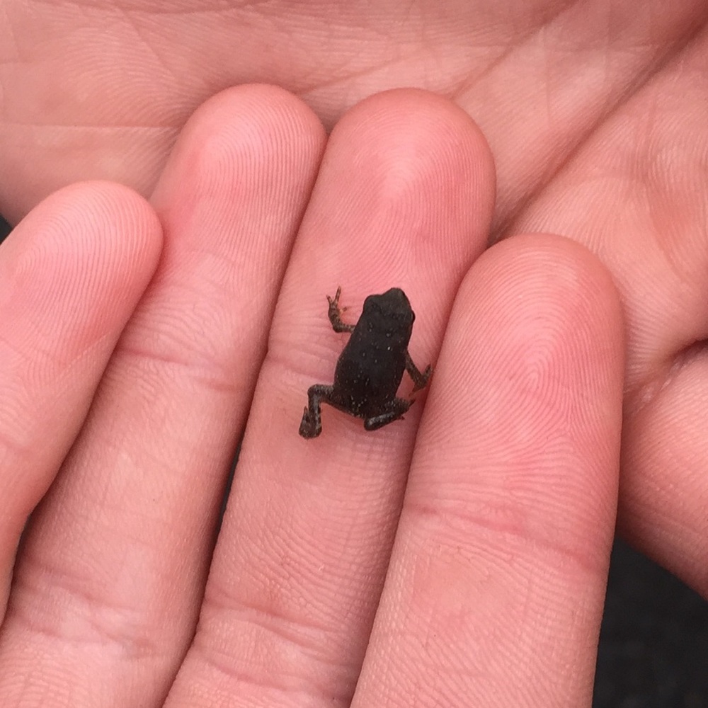 Meet your Posher, Courtney