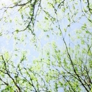 Meet your Posher, Niya