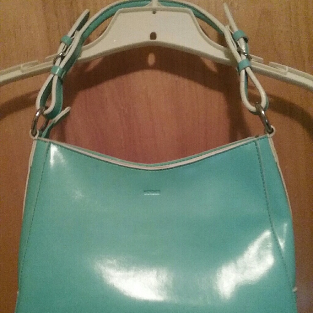 NWOT Mondani purse. Robin's egg blue