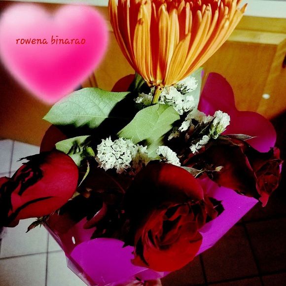 Meet your Posher, Rowena - Picture 1 of 1