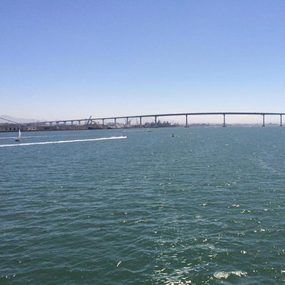 Meet your Posher, Betty