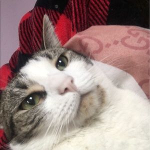 Meet your Posher, Nika