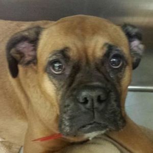 Meet your Posher, Stacey