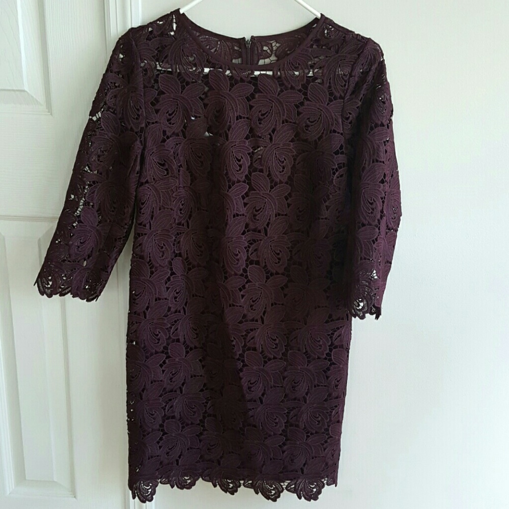 Nwt Loft Women's Dress Size 2