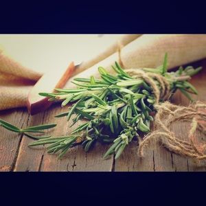 Rosemary - SqueezeMeSugar 🌻