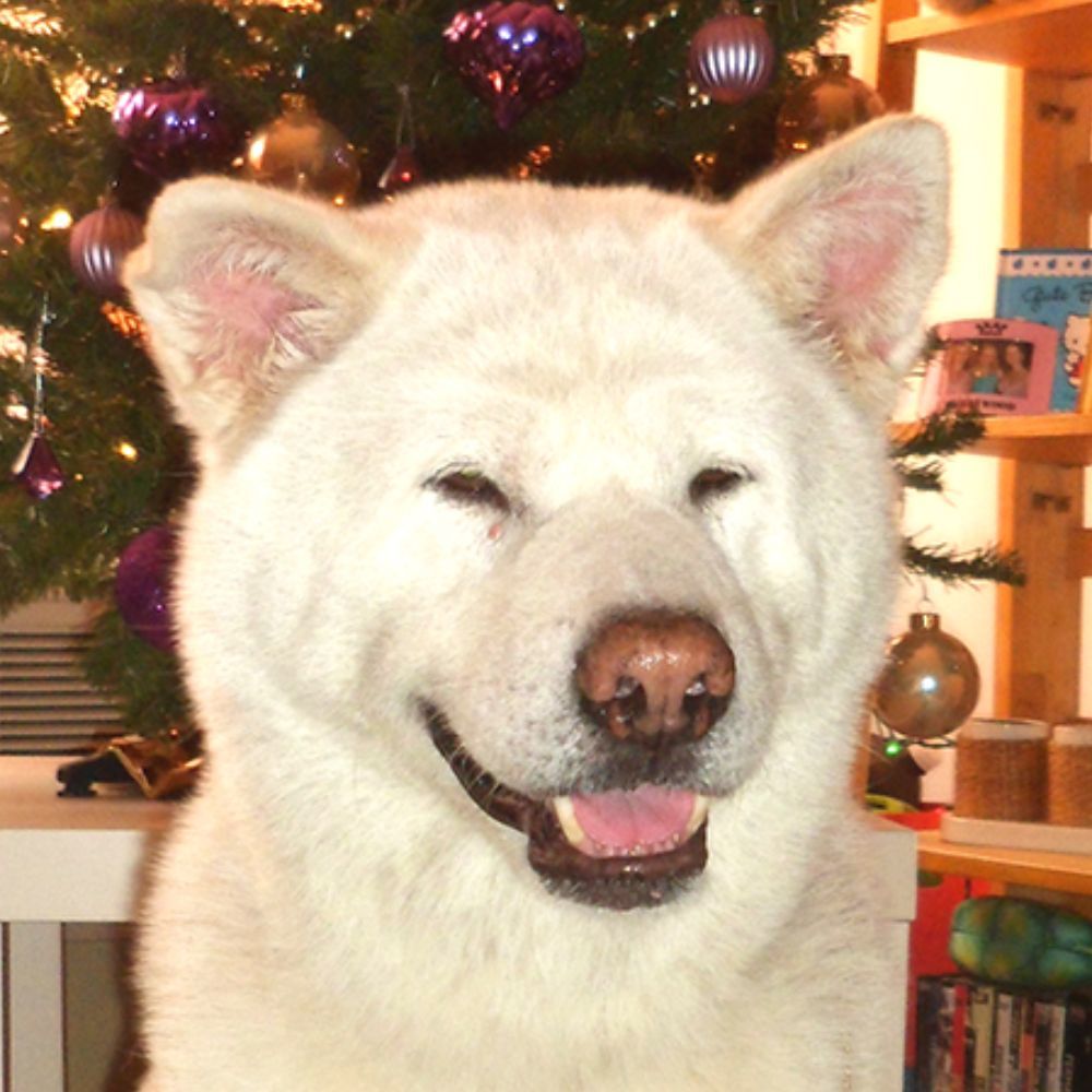 Meet your Posher, Caroline